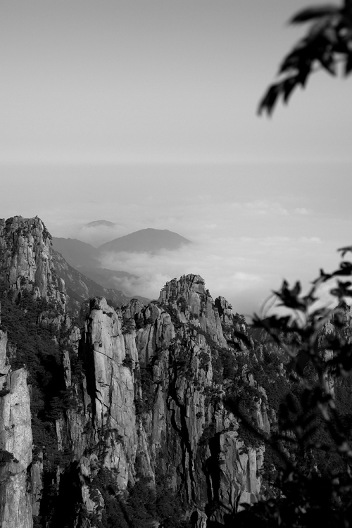 黄山云海 摄影 红的茶