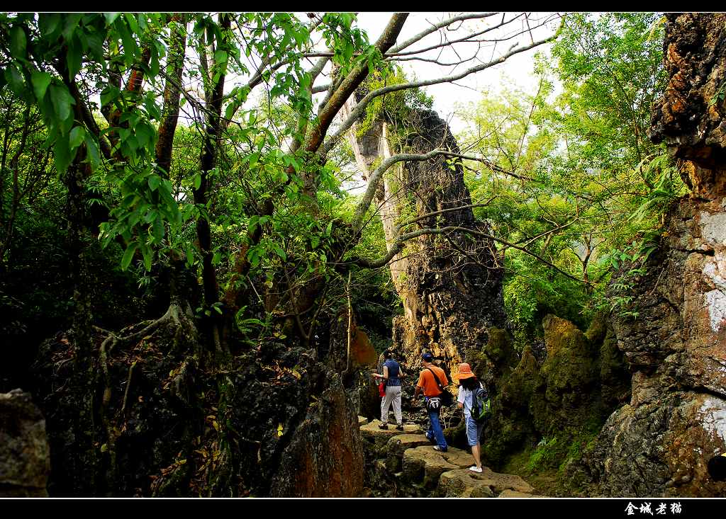 走进石林 天星桥景区 摄影 金城老猫