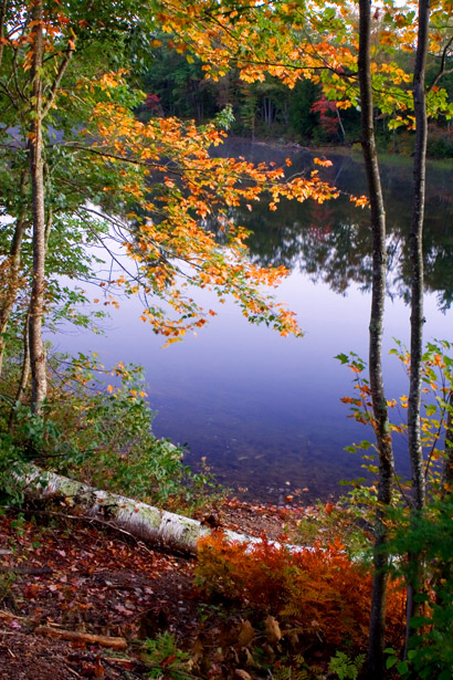 Fall Colors, New Hampshire, US 摄影 yuhan