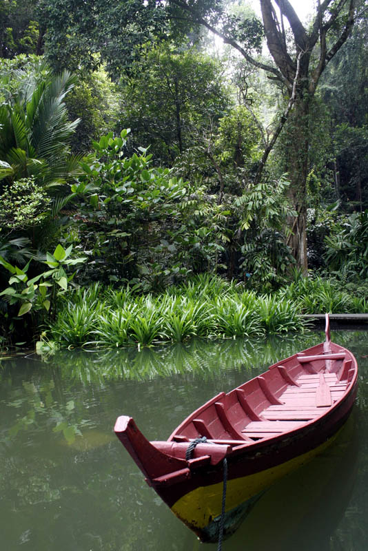 boat 摄影 葉鍾華