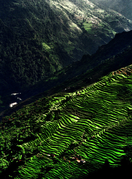 靠山吃山 摄影 Armadillo