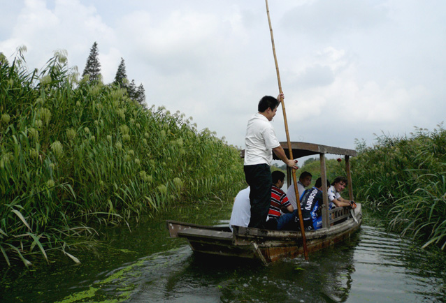 芦荡采菱人 摄影 海韵江风