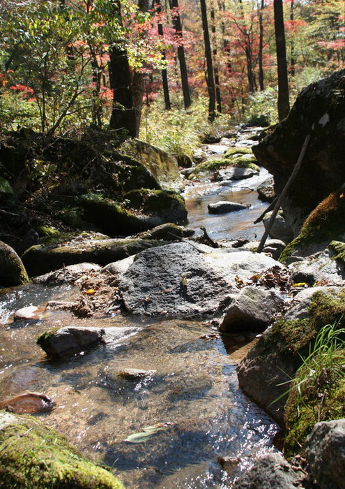 秋山水瘦枫叶红 摄影 路平99