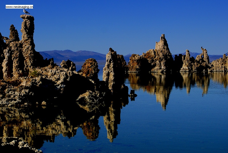 mono lake 3 摄影 xier