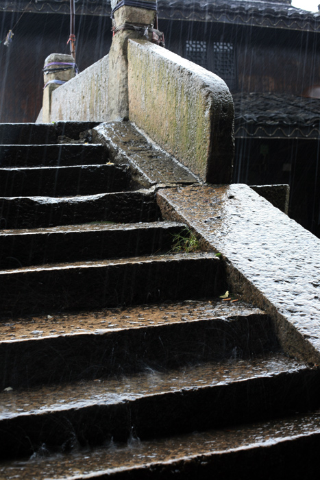 雨桥 摄影 老虎招招