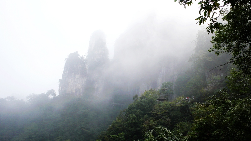 雾锁深山 摄影 莱阳妮