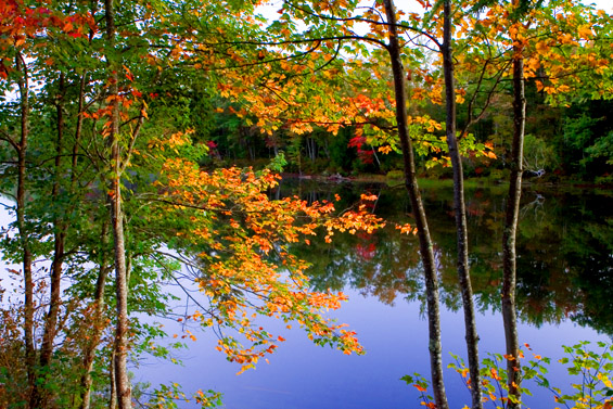 Fall Colors, New Hampshire, US 摄影 yuhan