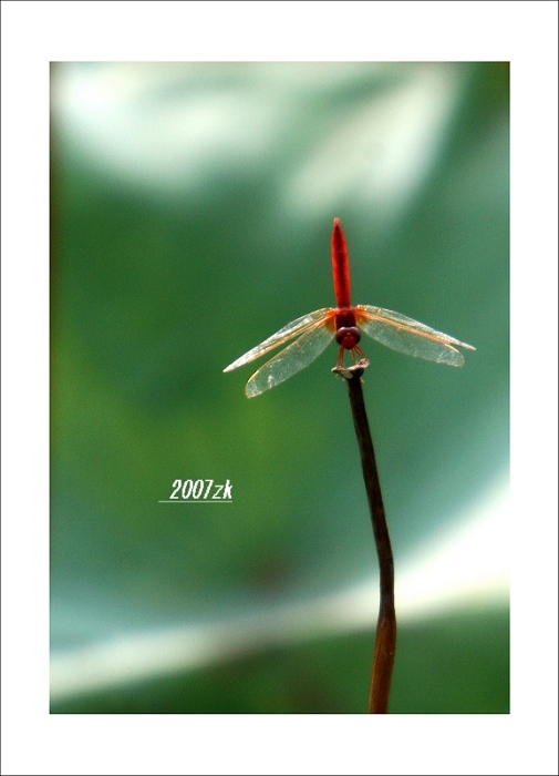 倒立 摄影 雨过天晴