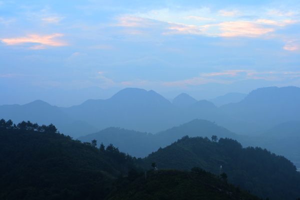 东岭晓春 摄影 chau