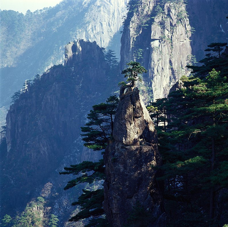 梦笔生花 摄影 子戬