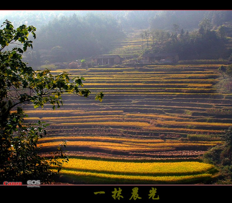 一抹晨光 摄影 峰舞九天