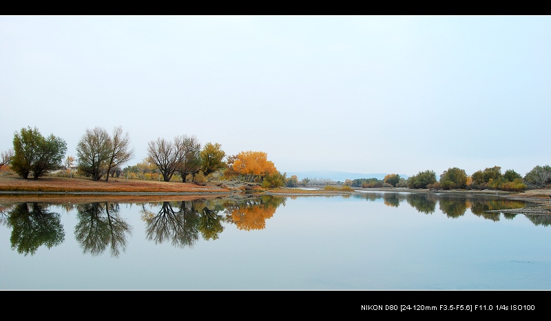 新疆行49-河岸小景 摄影 chjlin88