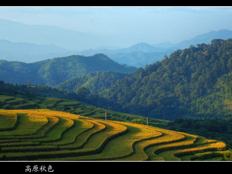 高原秋色 摄影 林涧