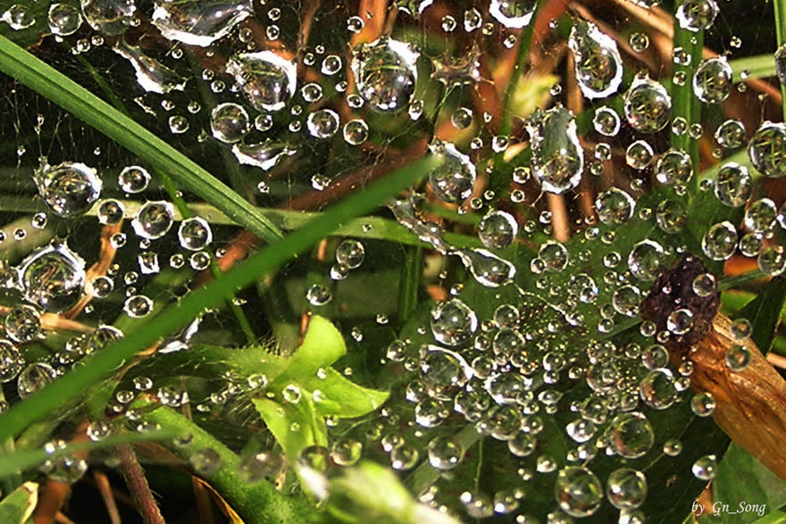 雨后拾锦 摄影 晓南