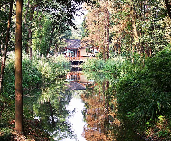 水边林间 摄影 幽居空谷