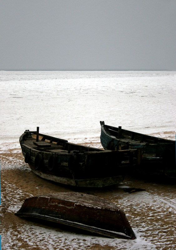 海岸 摄影 灰脸