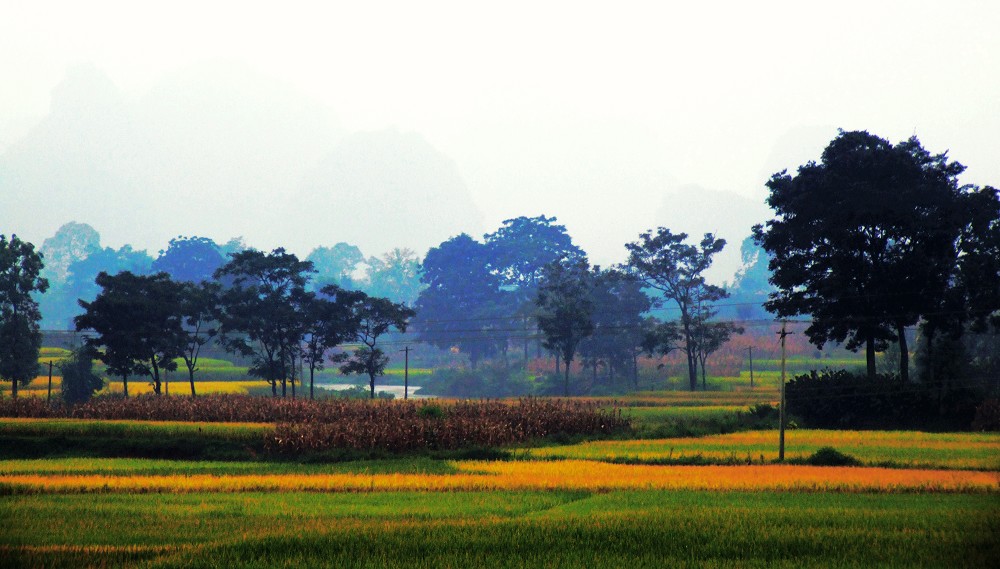 小河弯弯 摄影 ninkel