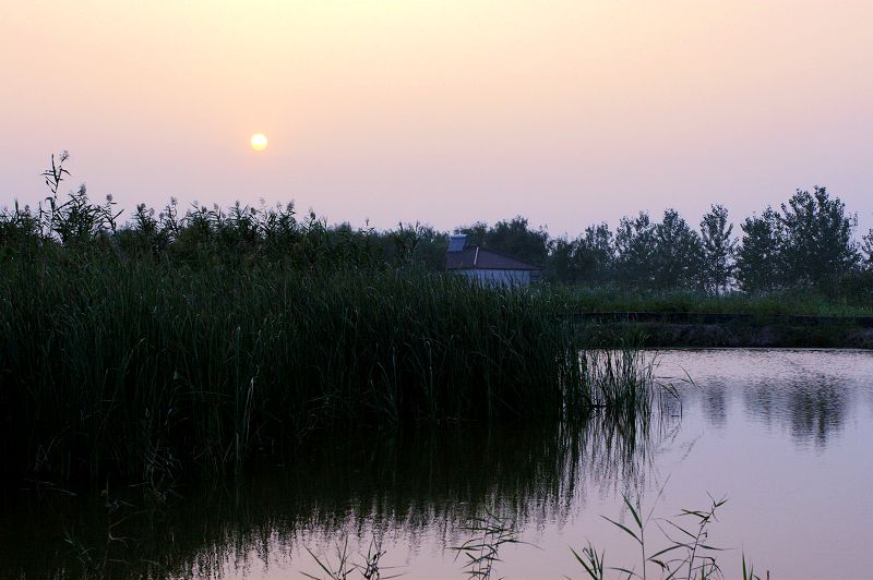 夕阳如梦 摄影 衣袂飘飘