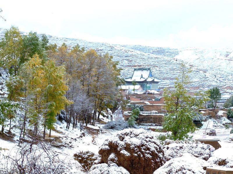 2007年的第一场雪 摄影 晴天一鹤