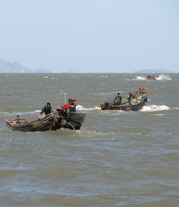 迎风破浪 摄影 崂山人家