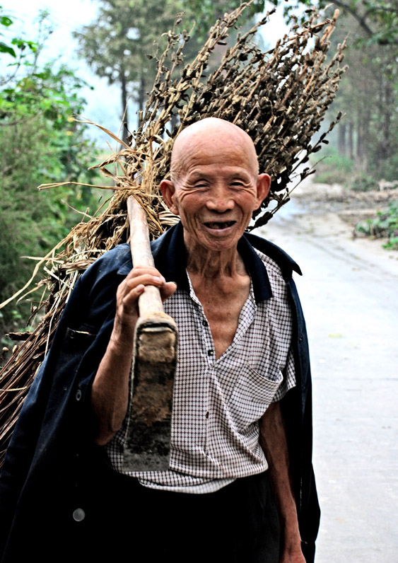 收工路上 摄影 緑葉