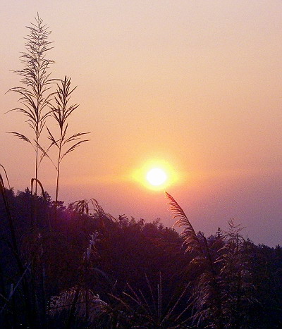 黄昏落日 摄影 山-山