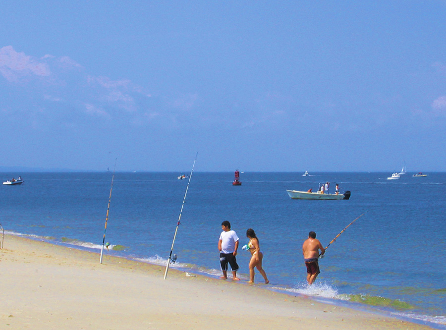 海湾 摄影 天地沙鷗