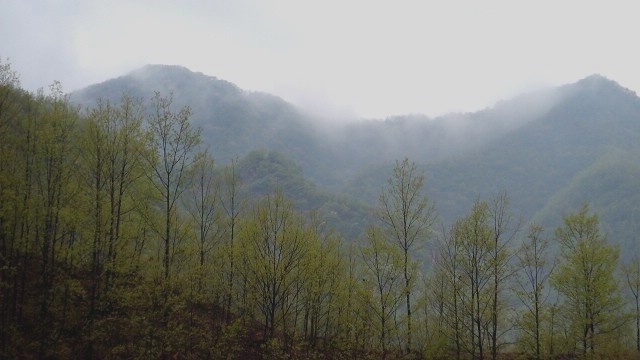 雨后晨山 摄影 远方的浮云