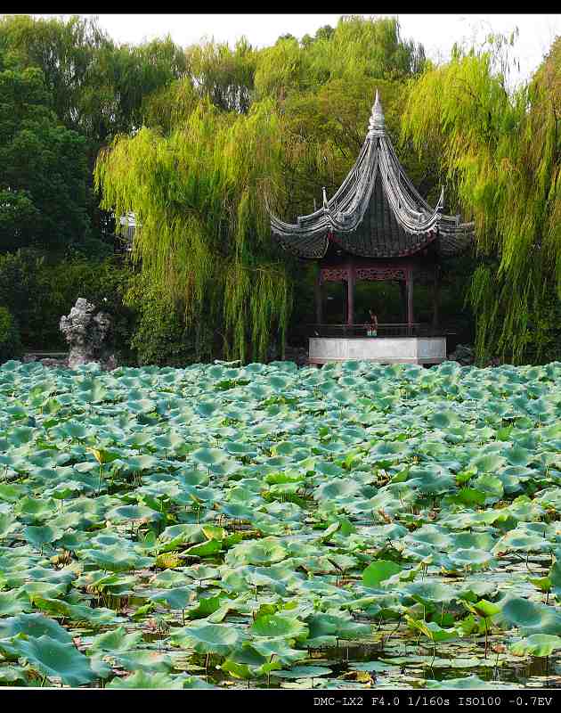 水乡（２） 摄影 影像痴人