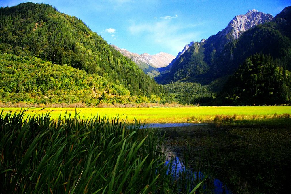 美丽湿地 摄影 叶公好摄