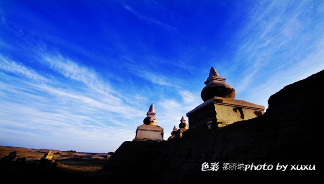 额济纳 摄影 自游自在