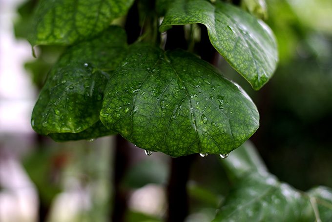 雨后 摄影 扁舟寒江钓