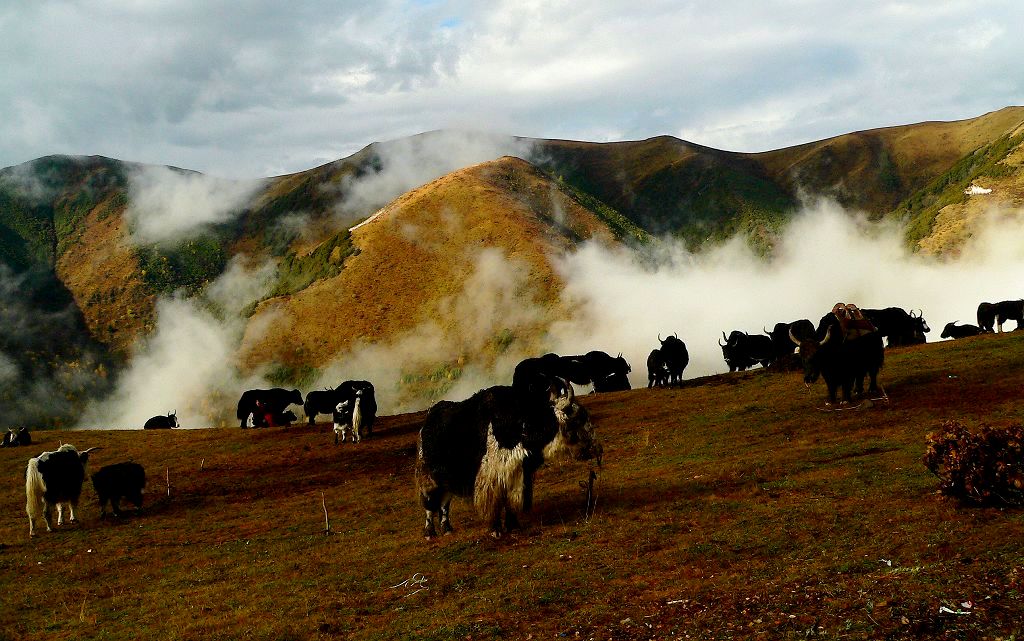 马尔康.日部风光 摄影 高山过客