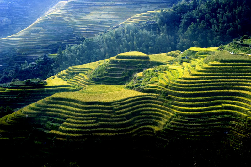 龙脊梯田 摄影 山海一角