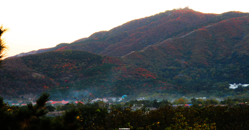 秋染香山 摄影 寒梅傲雪