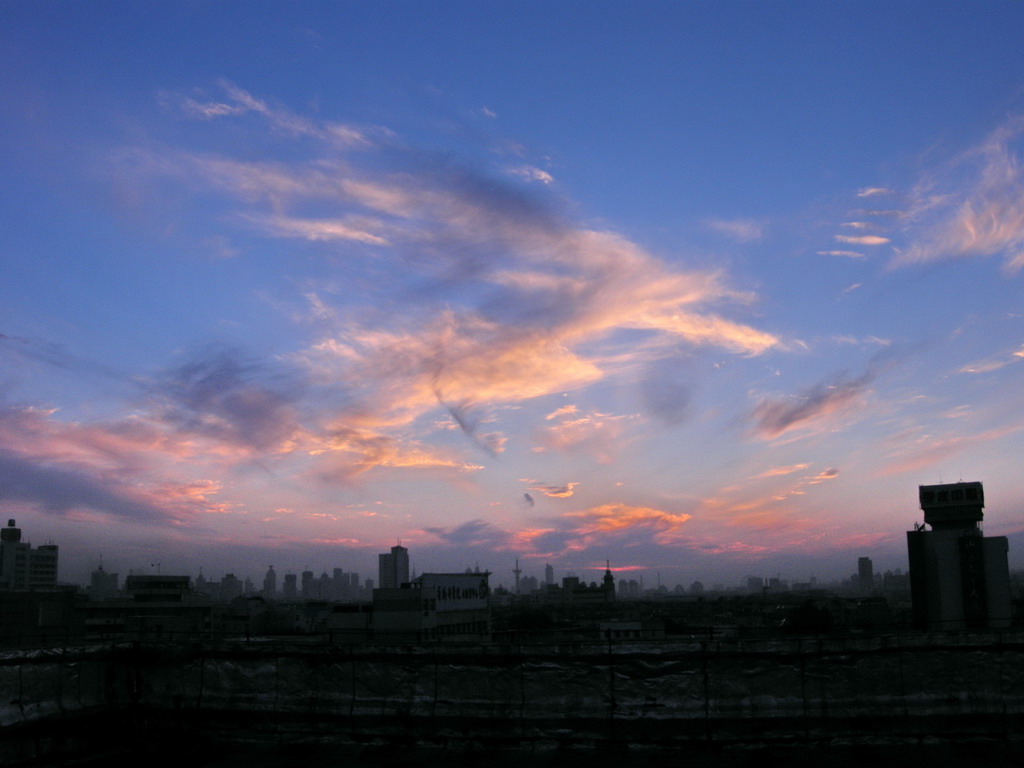 夕阳 摄影 心高天远