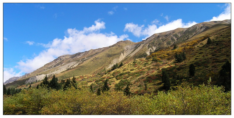 高山牧场 摄影 上帝之眼