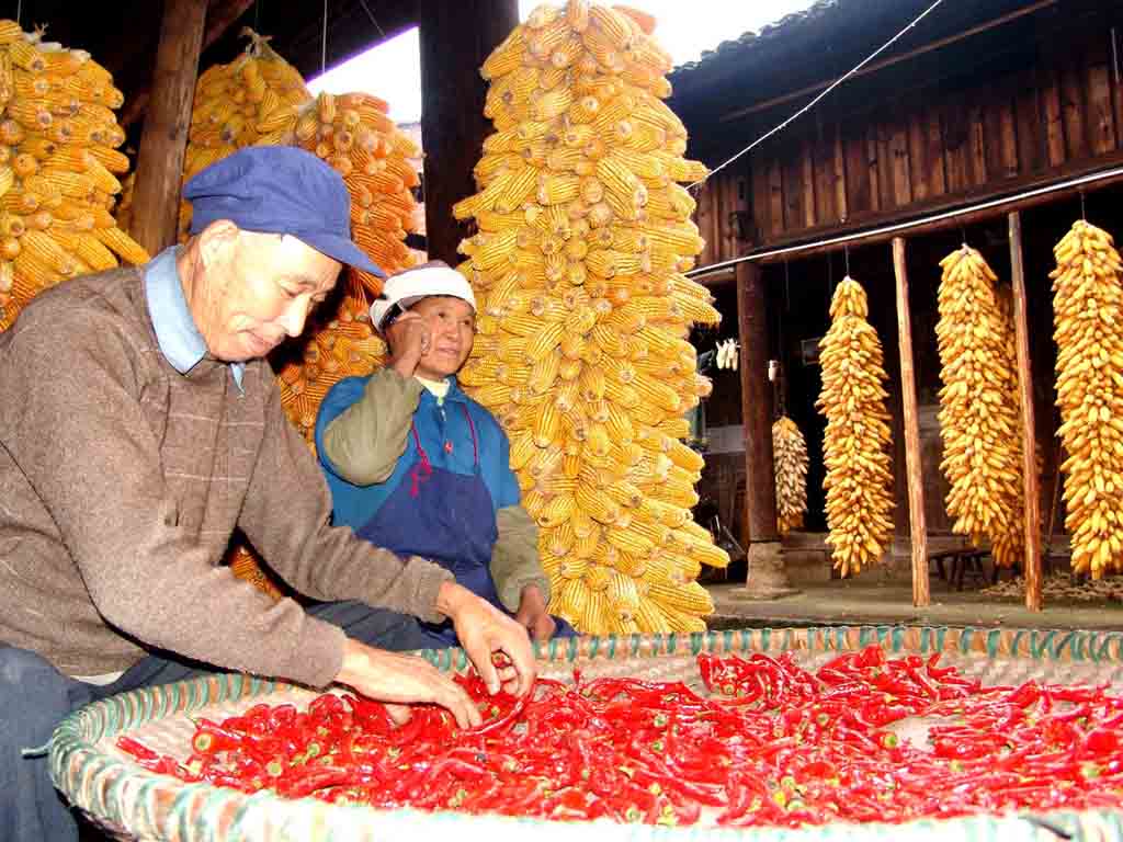 喜讯传山外 摄影 谭华祥