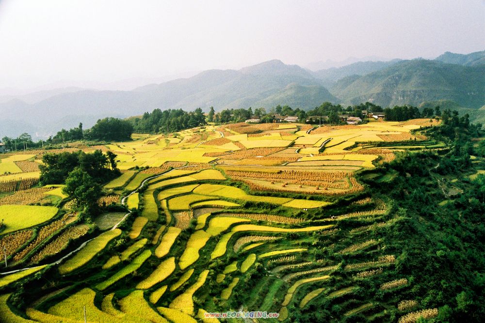 高原秋景 摄影 天方地圆