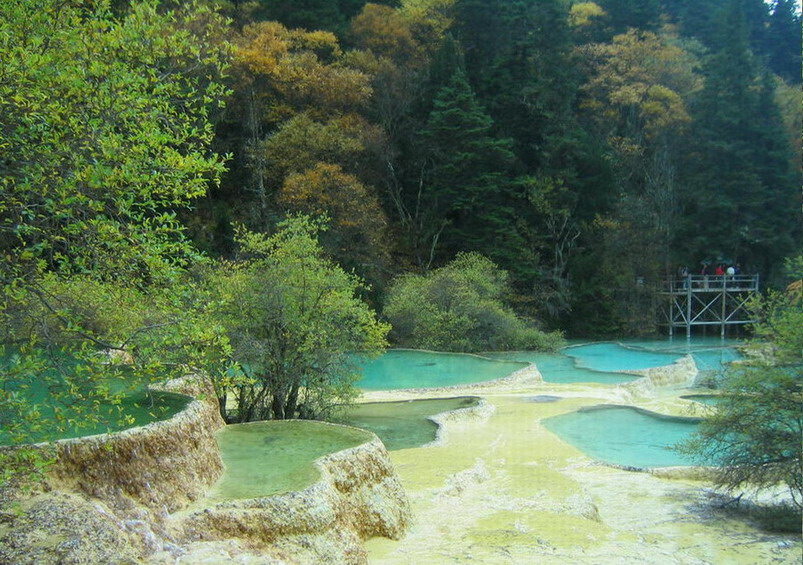 盆景 摄影 静空铃