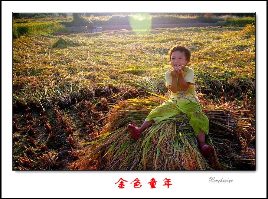 金色童年 摄影 文竹细雨