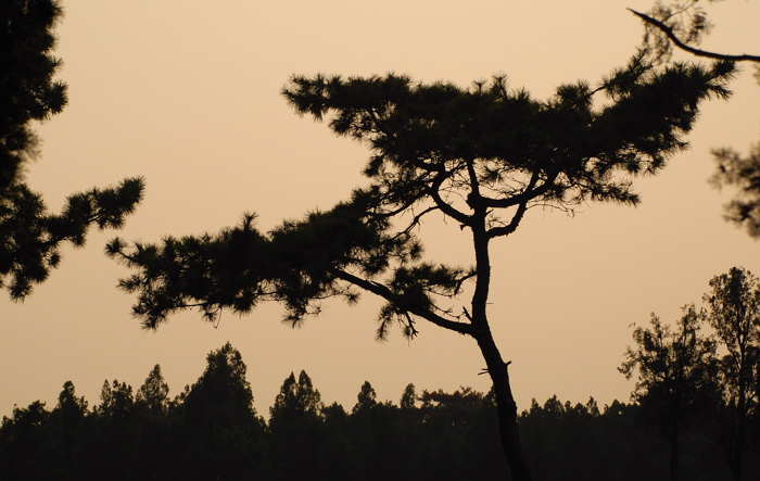 彼时夕阳下``` 摄影 無比燦爛