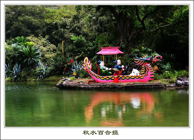 湖畔风景 摄影 秋水百合