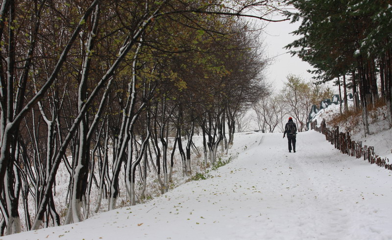 2007年的第一场雪 摄影 龙江雪