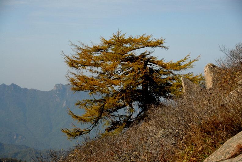 秋日雾灵山 摄影 天香阁主