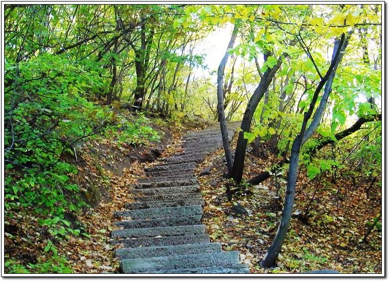 山路 摄影 青青草儿