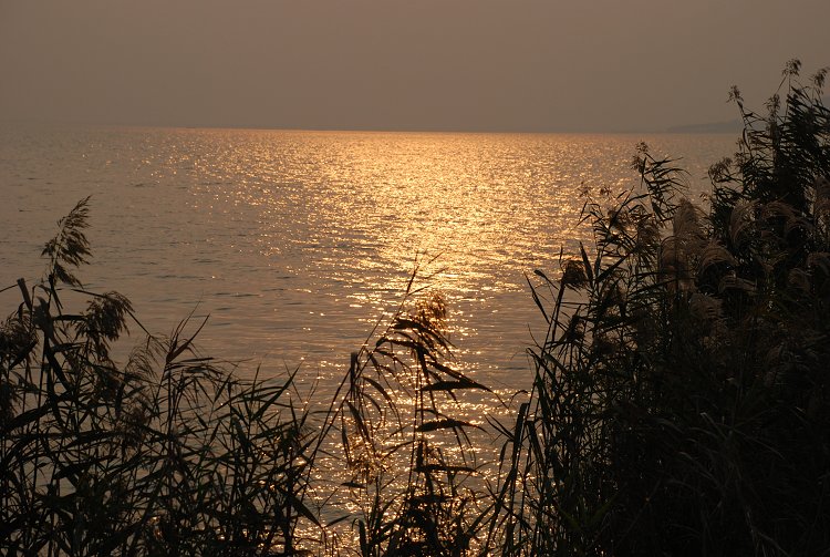 太湖夕照 摄影 大护生