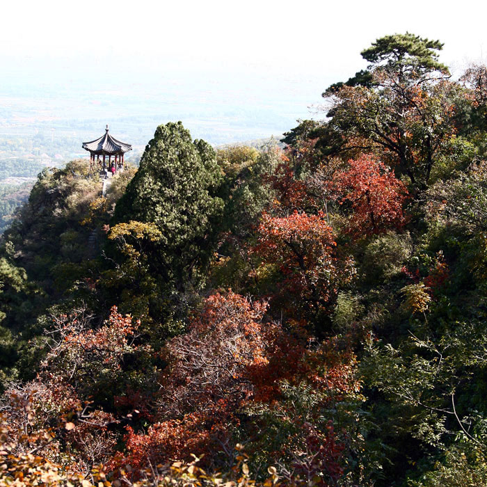 香山红叶（一） 摄影 古都侠影