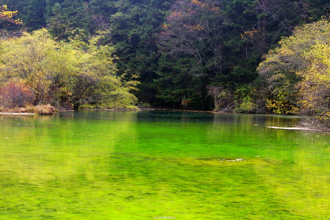 九寨沟——五彩池 摄影 静止的流水