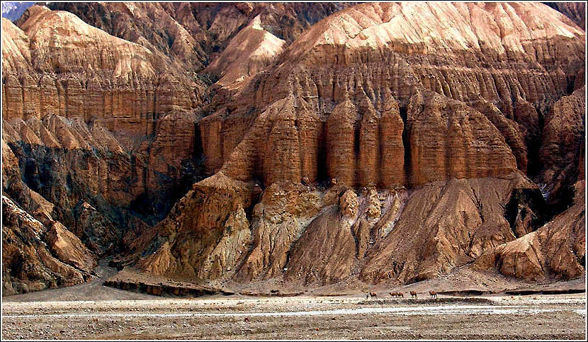 《风城的诉说》 摄影 大地之光